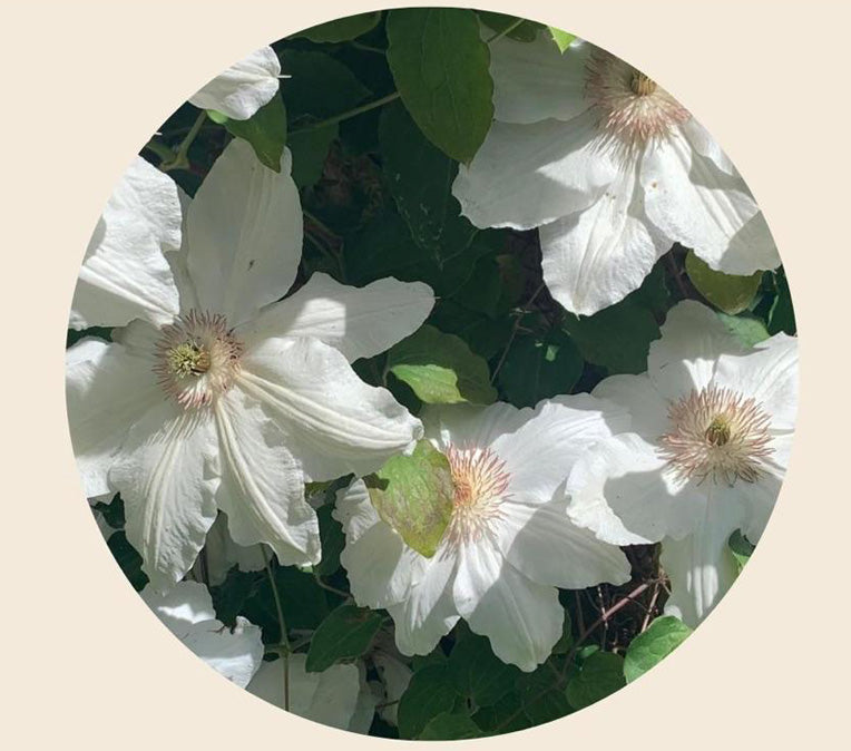 Bespoke Print Design-swatch service (For Interiors or Garments)